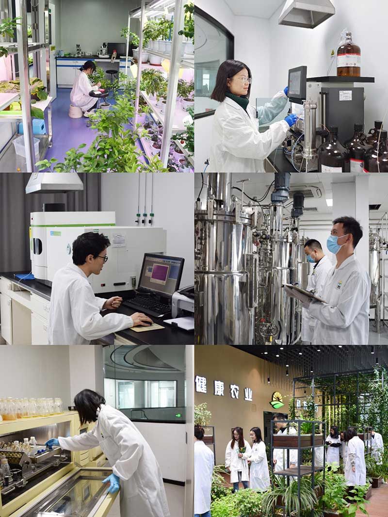 “全國科技工作者日”:推動農業綠色高質量發展,新朝陽科研人在路上